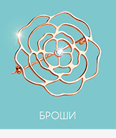 броши